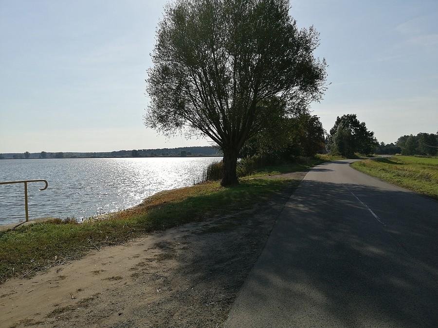 Jezioro Trzcielin.
