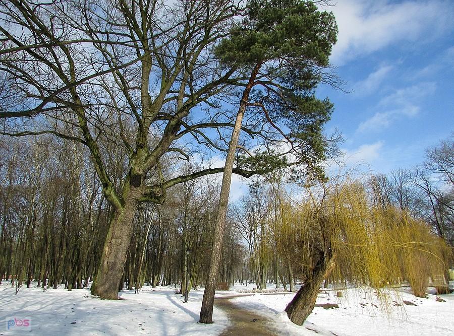 Park Dernałowiczów w Mińsku Mazowieckim