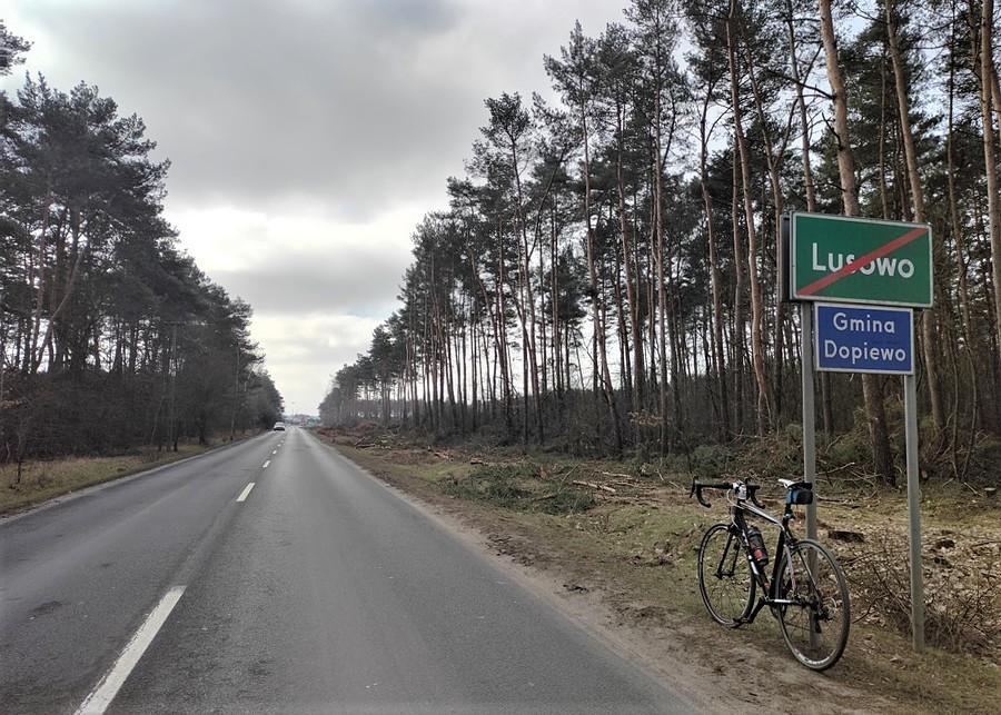 Coraz bardziej łysa droga w okolicach Zakrzewa
