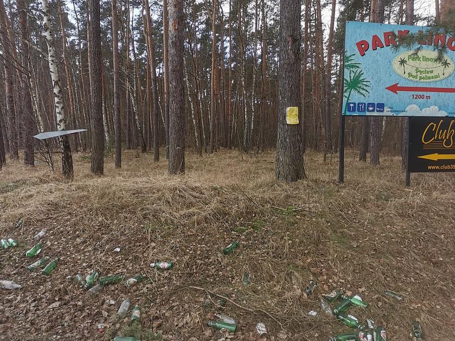 Kilkaset butelek po piwie Perła