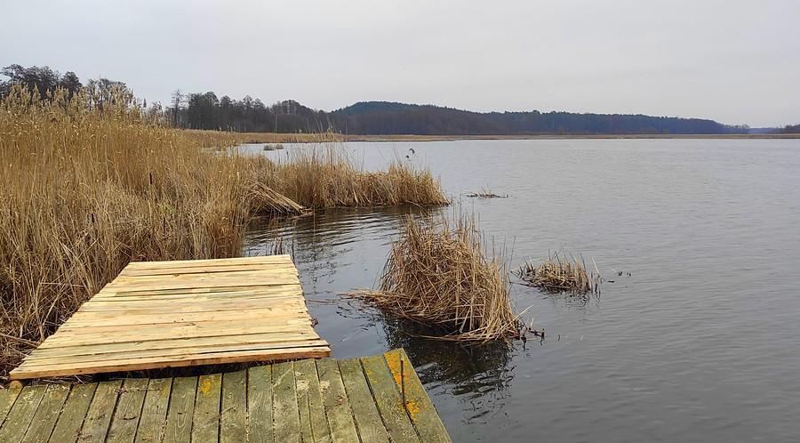 Widoczek z Jeziora Tomickiego