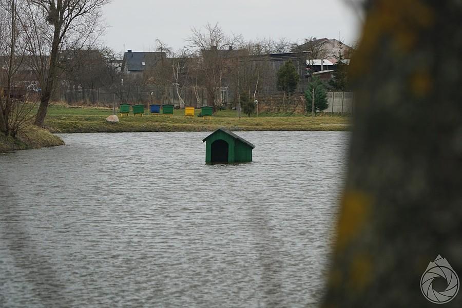 w Welkopolsce budy stawiają w środku stawów