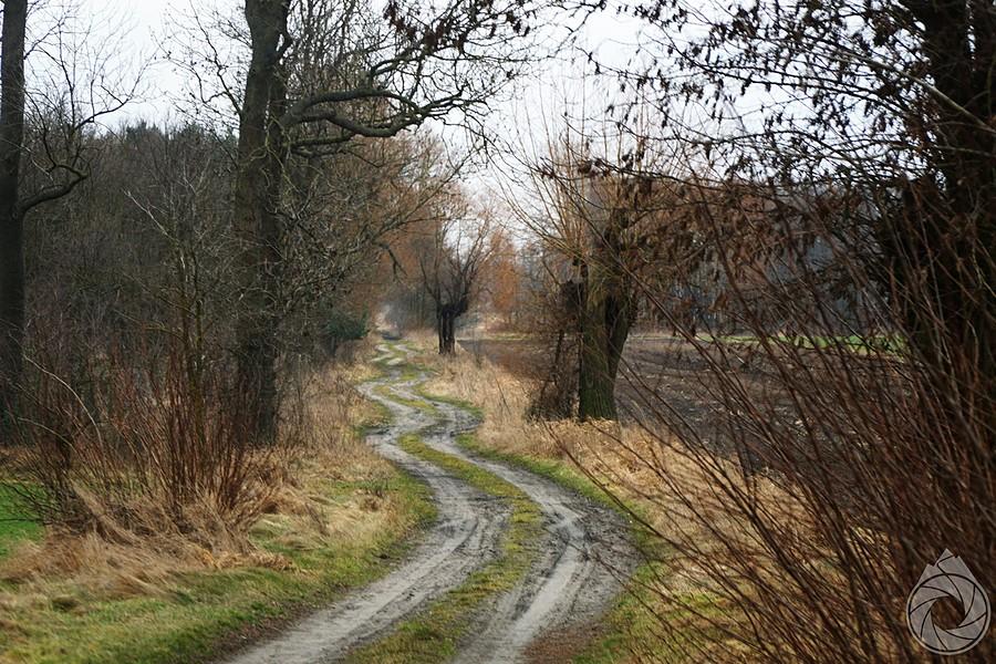 śródpolne zakręty wielkopolskie