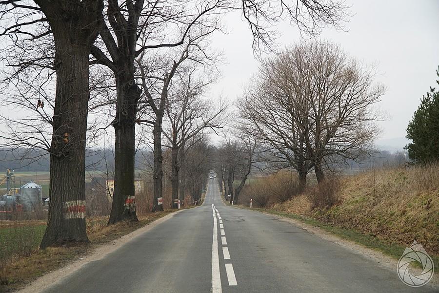 prooooosta na północ, na Kamieniec Ząbkowicki