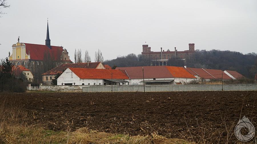 nad miasteczkiem góruje pałac (w Kamieńcu Ząbkowickim)