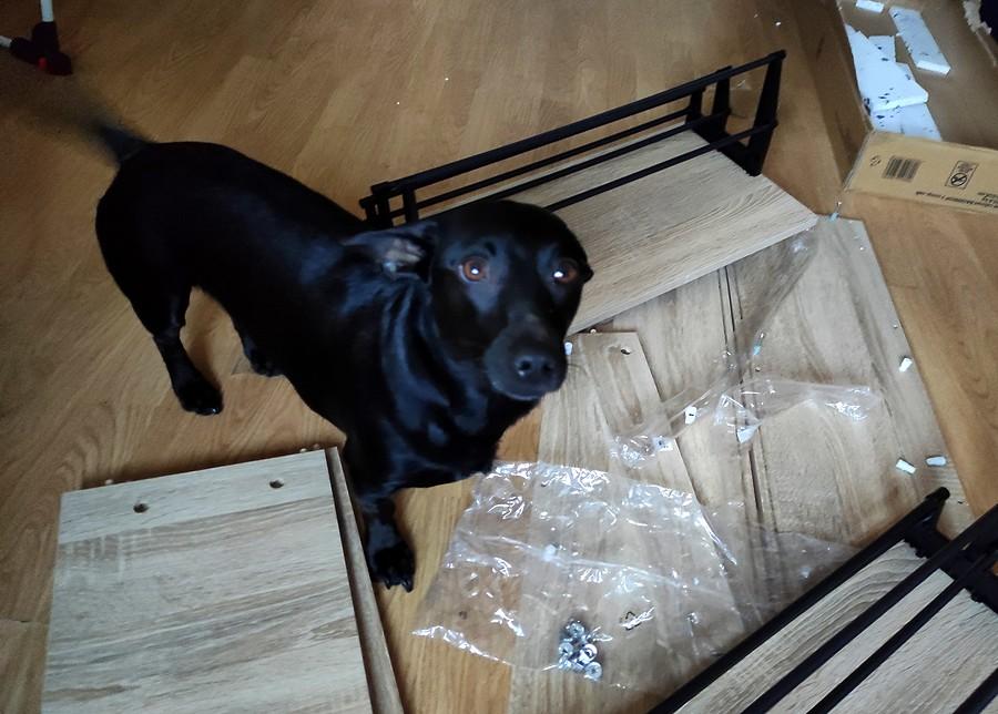 Największy ekspert w temacie skręcania szafek na buty :)