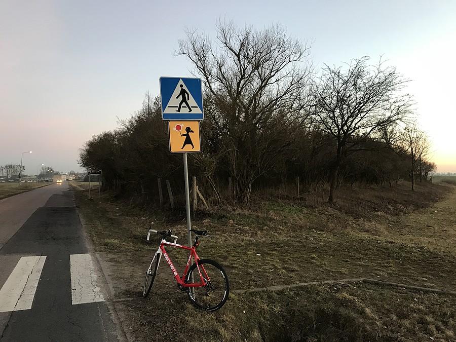 Dawny cmentarz ewangelicki w Jędrzejewie - cały zarośnięty