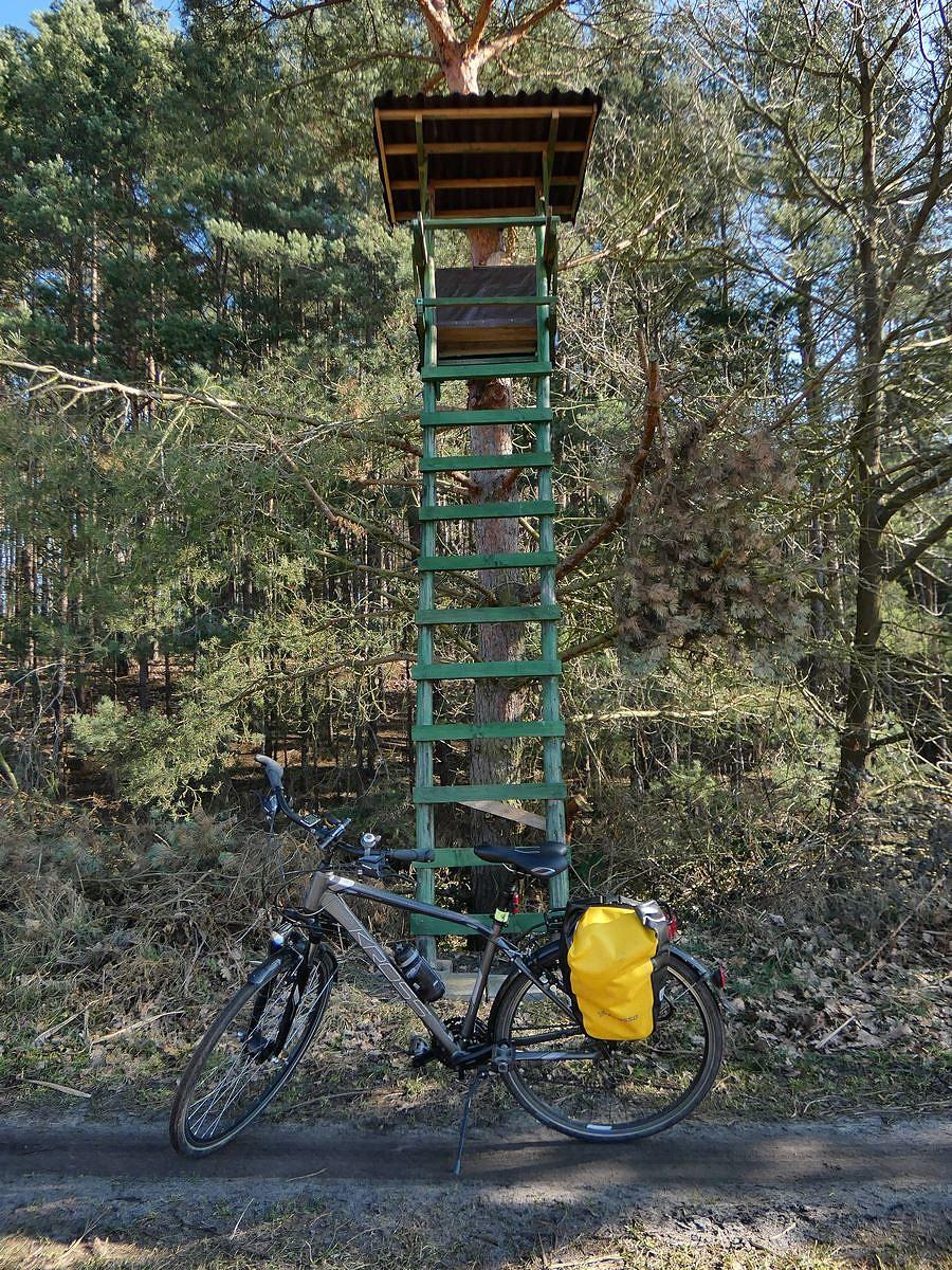 Miejscówka do podglądania ptaków nad Stawem Łęcza