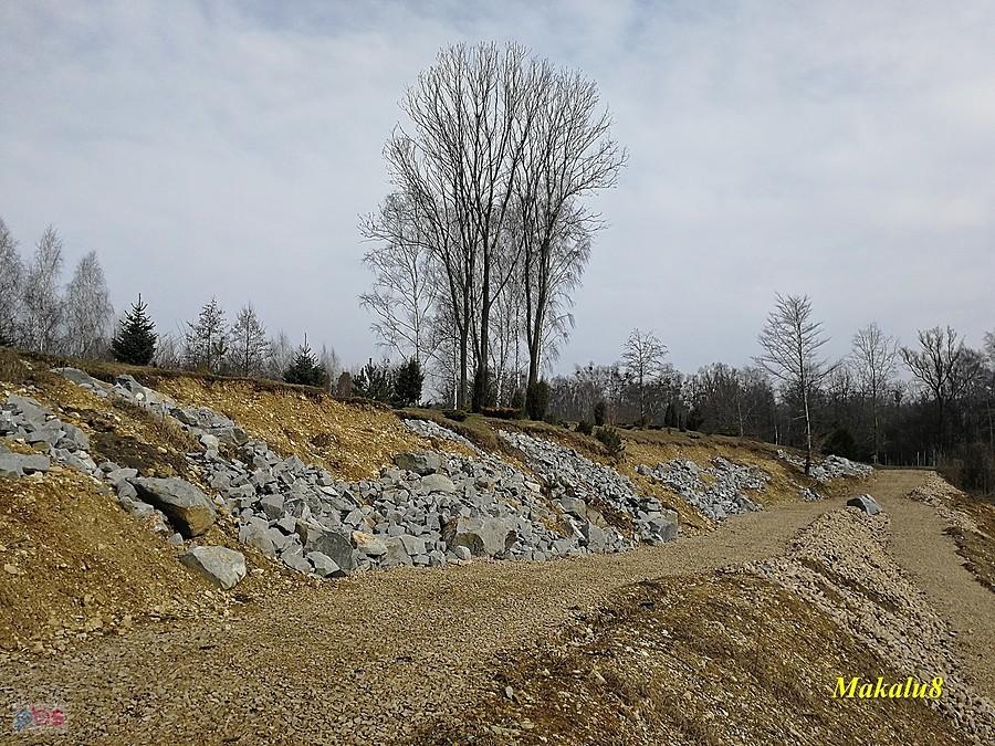 Nowy tarasik w ogrodzie botanicznym.