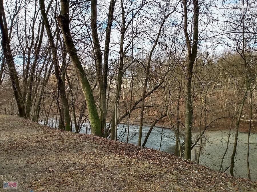 Staw w parku na Woli przy Sowińskiego