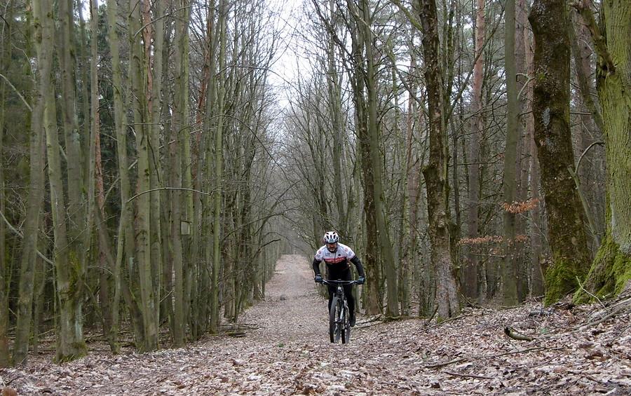 Marcowy MTB-owiec w dużym lesie WPN-u