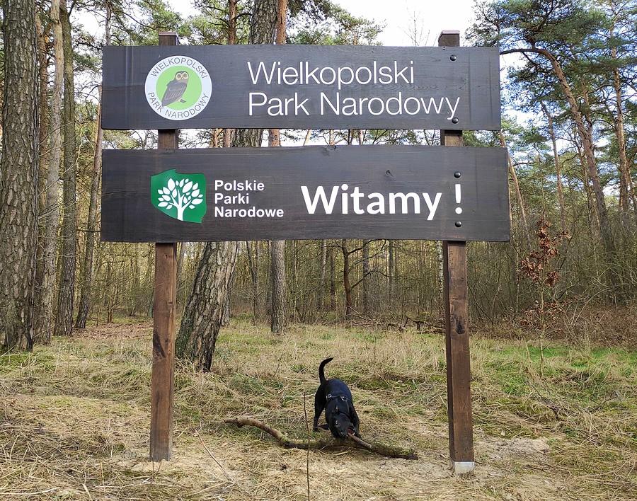 Witamy w WPN :)