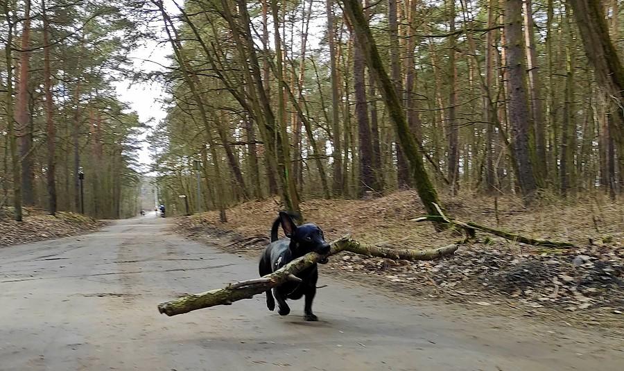 Większego kijka aktualnie nie było :)