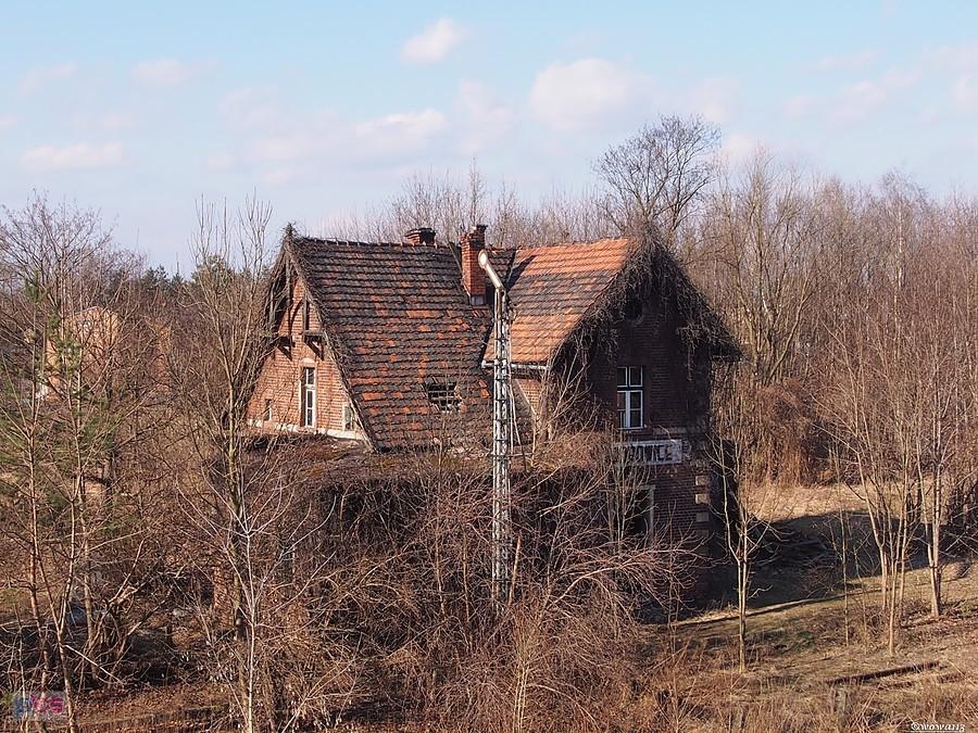 Stacja kolei wąskotorowej w Nieborowicach