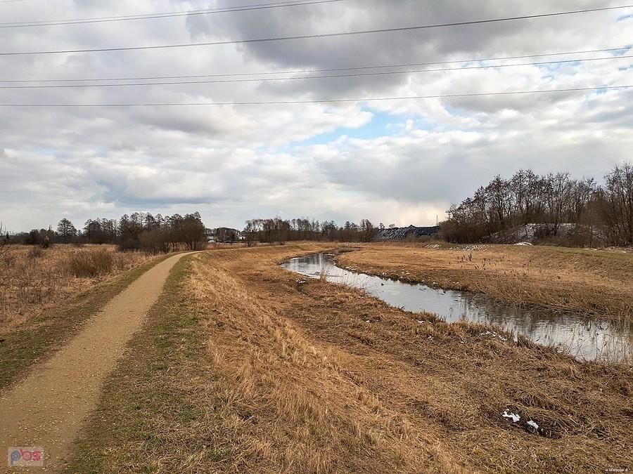 Warta w Częstochowie