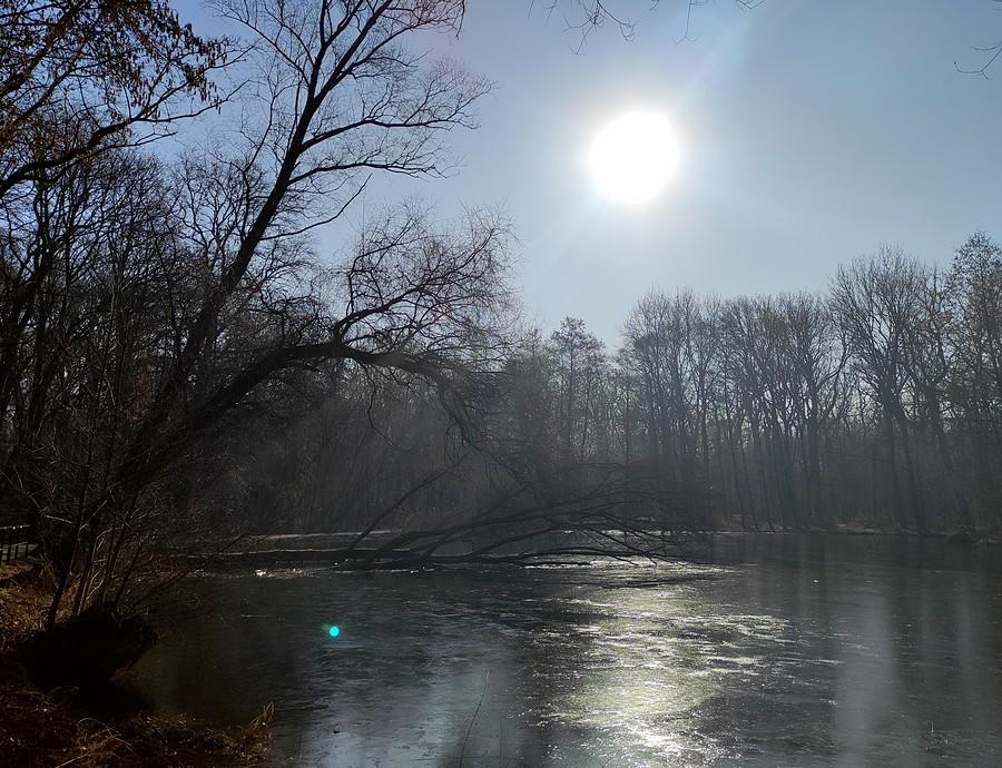 Resztki mrożonki na stawie, Las Dębiński, Poznań