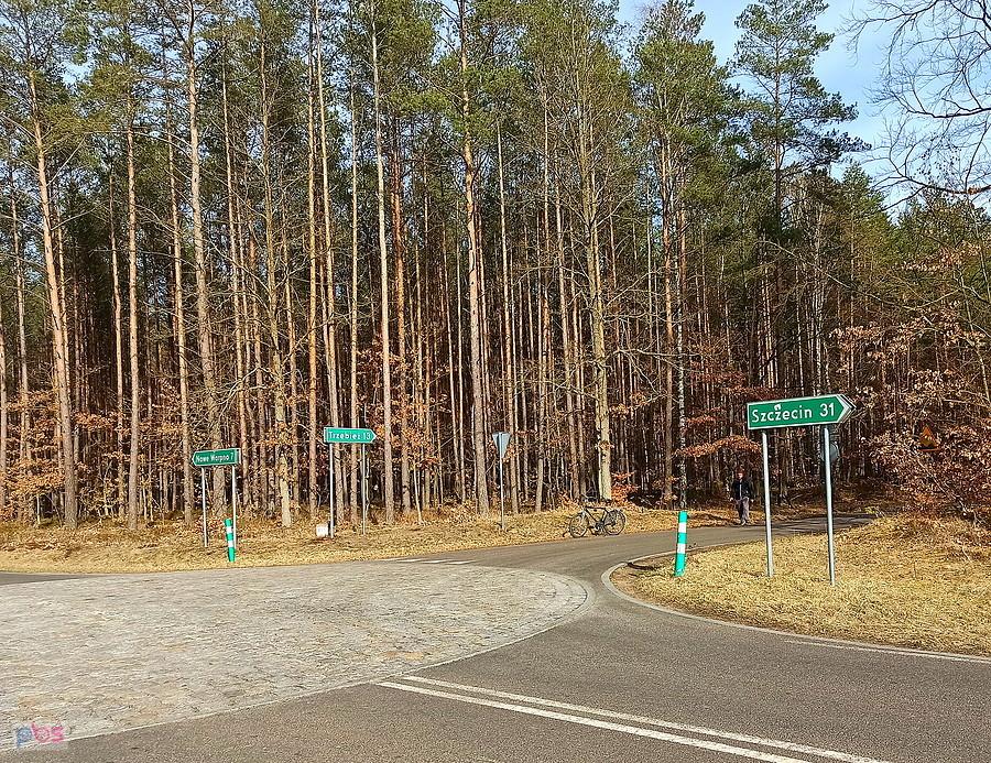 Na rozstajnych drogach.