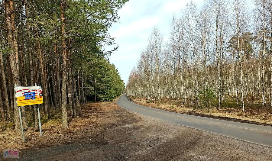 Leśną drogą nr 14 nad jezioro Piaski.