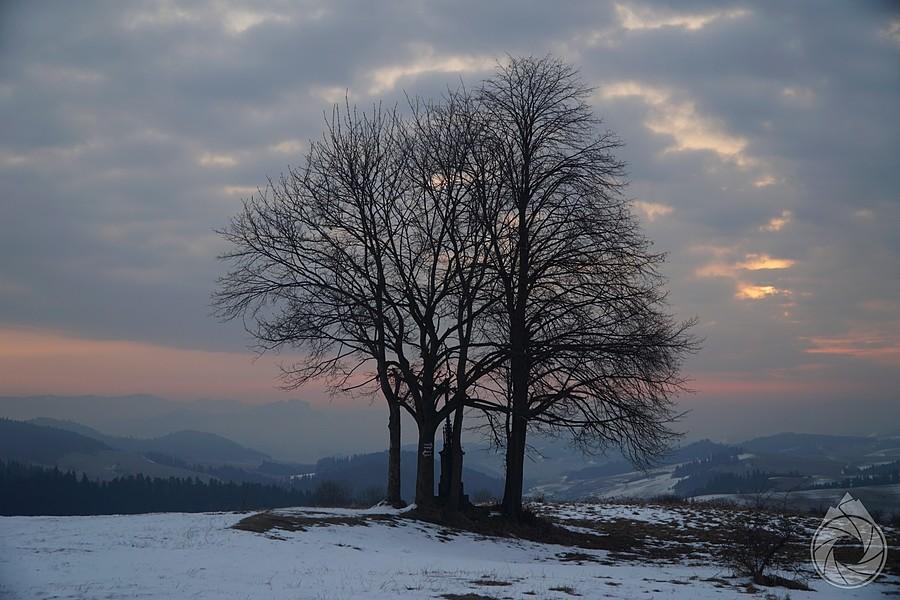 grandeusowe drzewo i niewyraźne Pieniny