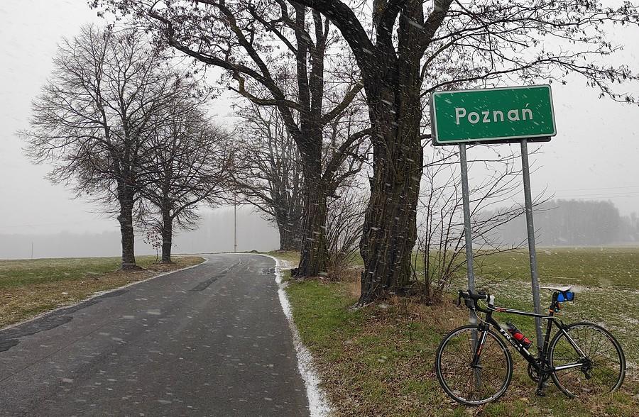 Armagedon zaczął się rozkręcać i osiągnął granicę Poznania