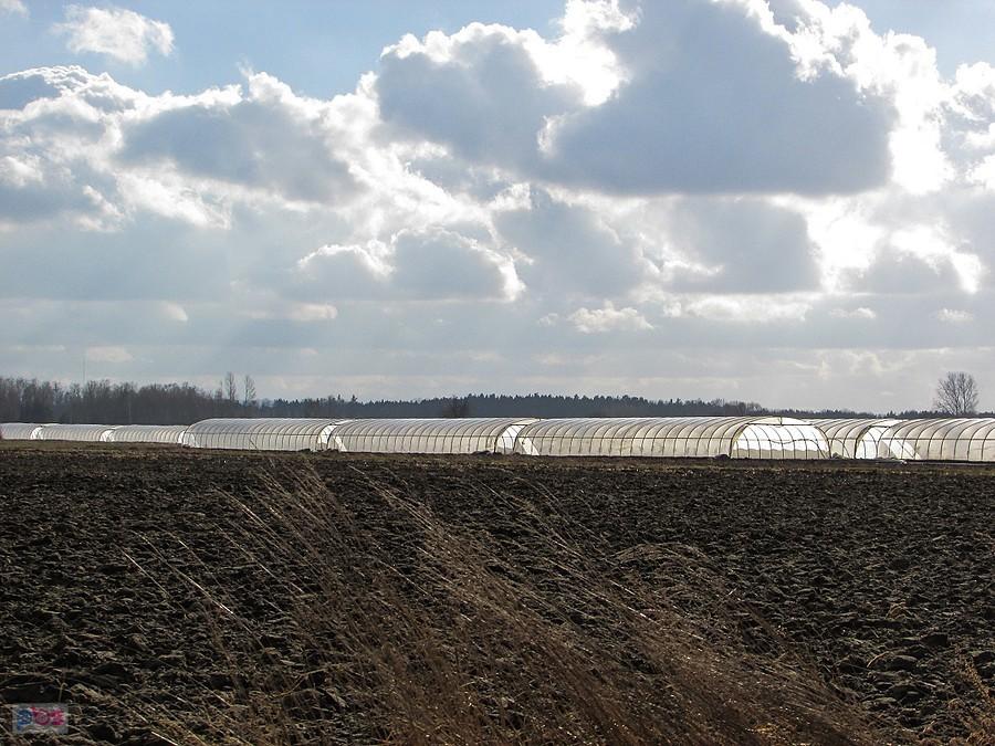 Bąków - mała architektura zagłębia paprykowego
