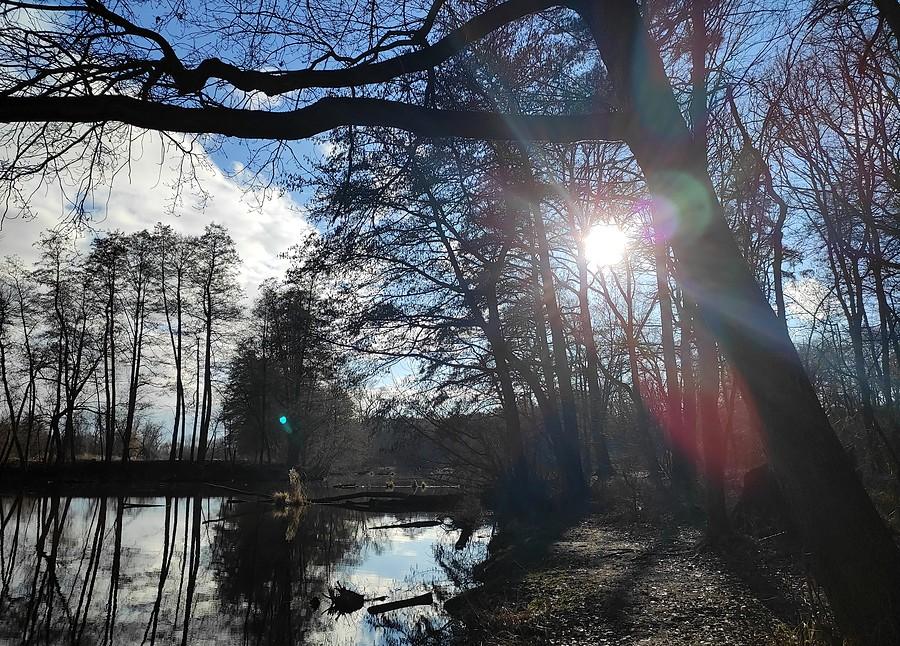 Pojawiło się słońce nad poznańską Dębiną