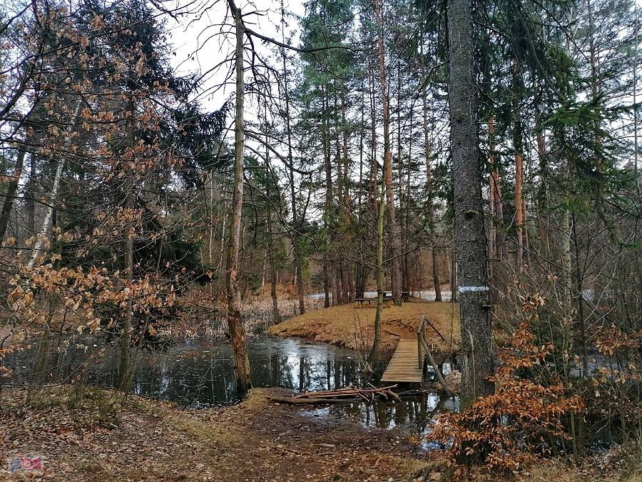 Segiet. Jezioro Krokodyli