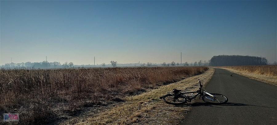 Piękny poranek z widokiem na Domasław