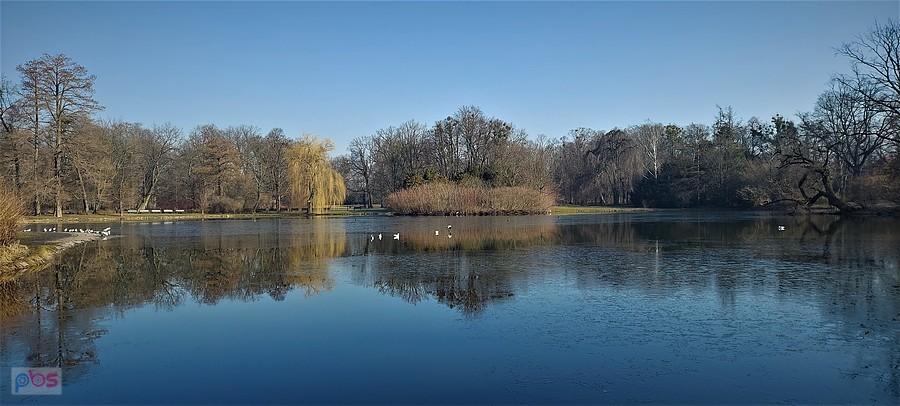 Staw w Parku Południowym
