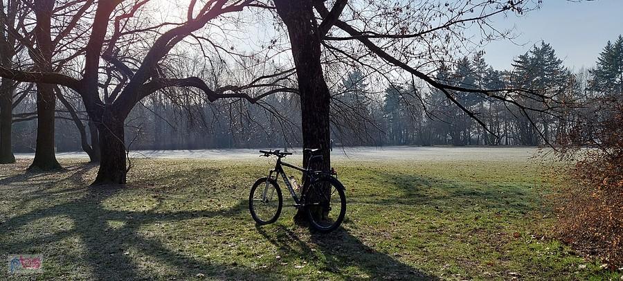 Energetyczny poranek w Parku Grabiszyńskim