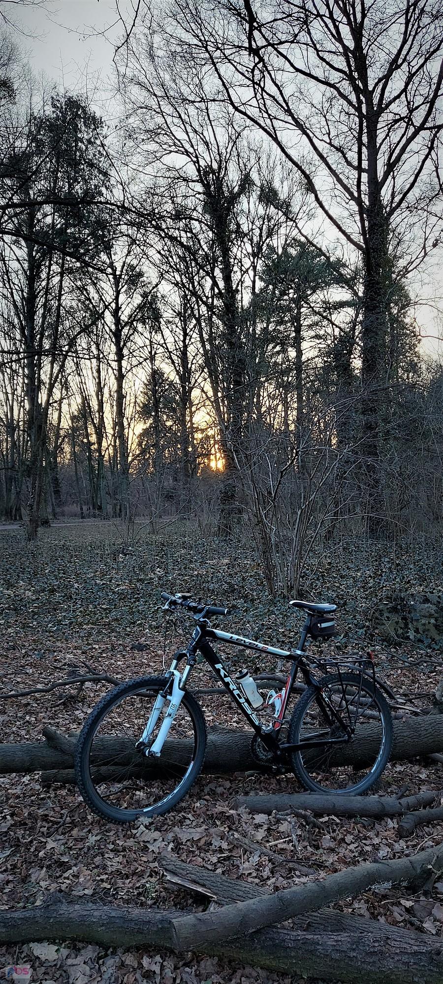 Bikefoto w Lasku Grabiszyńskim - zachód już blisko...