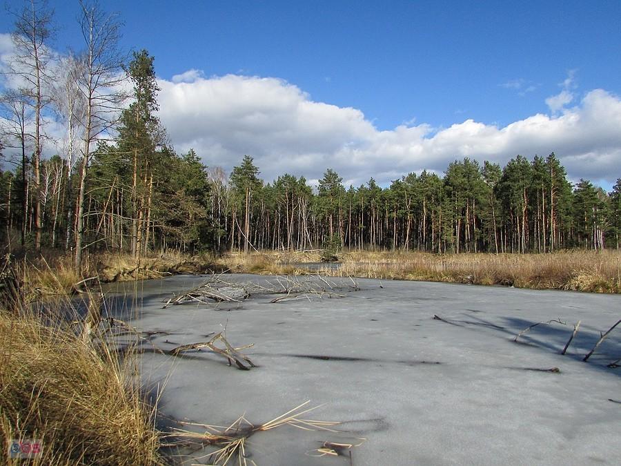 Stawy powstały za sprawą człowieka, kiedyś była tu cegielnia
