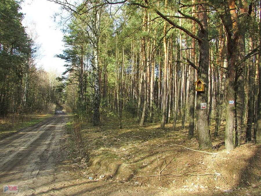 Kapliczka na rozstajach