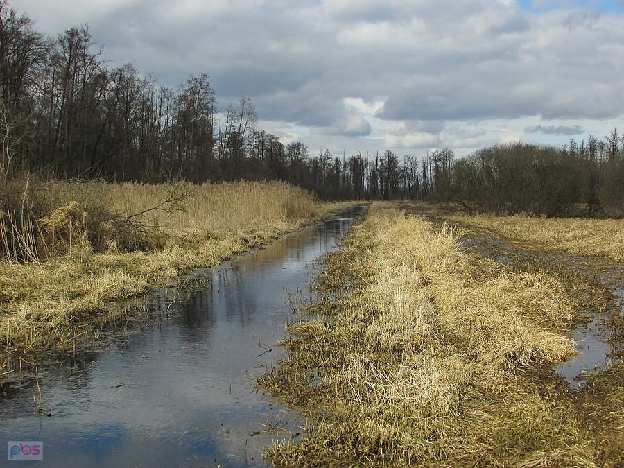 Rzeczka Mała na "Łąkach koło Baniochy"