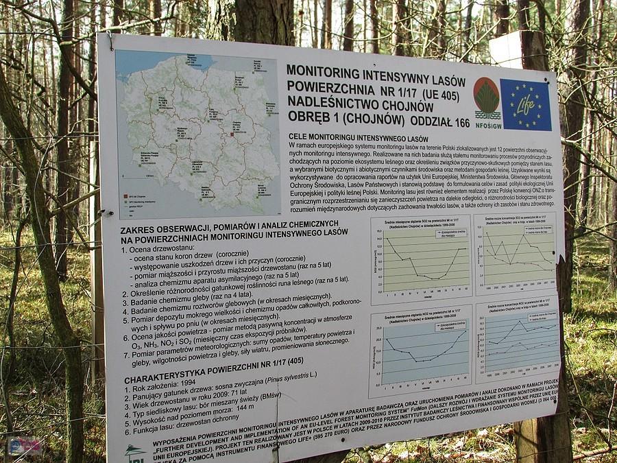 W Polsce jest 12 takich miejsc badawczych Instytutu Leśnictwa