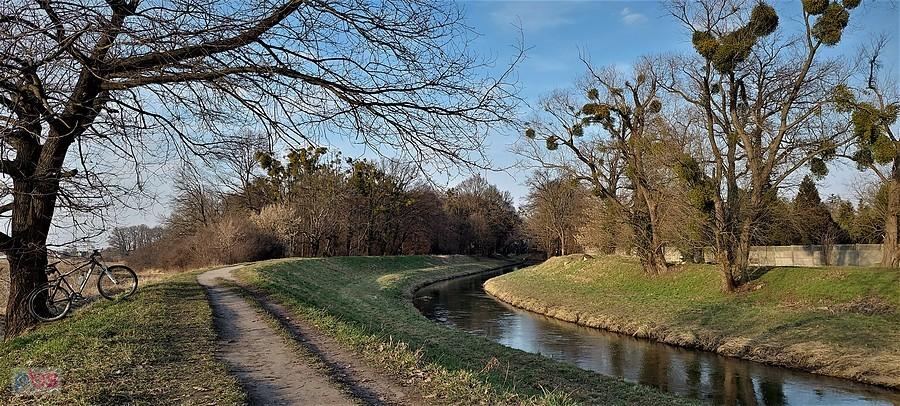 Czuć Wiosnę nad Ślęzą