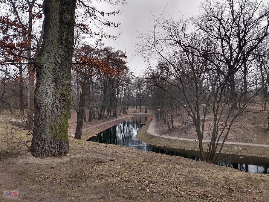 Fosa w parku