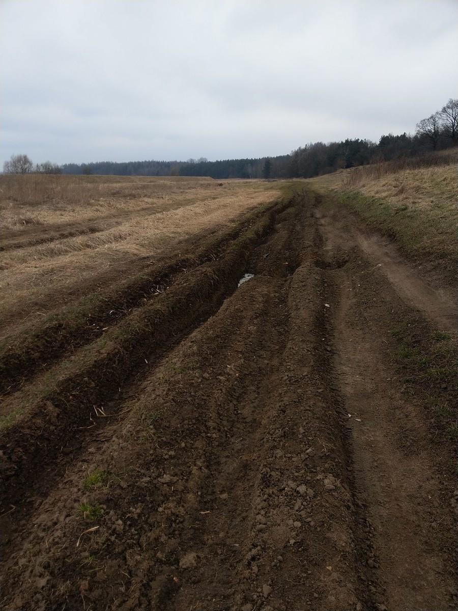 Spalinowe ścierwo rozjeżdża ścieżki nad Wartą