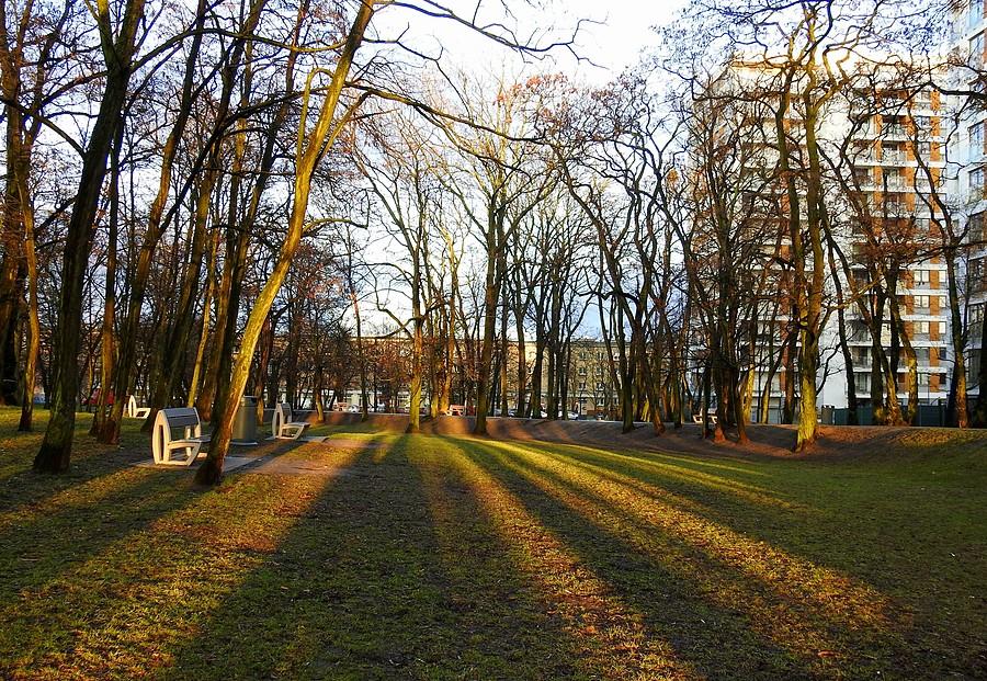 Poznański Dębiec w promieniach zachodzącego słońca