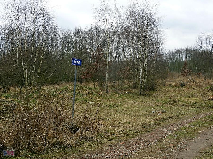 Uliczka w Dołujach o nazwie Bociania.