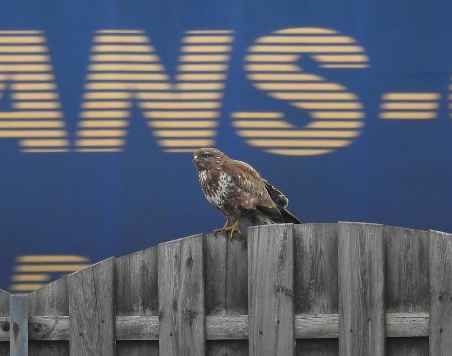 Mknący tir? Iiiii tam, nie ma co się przejmować :)