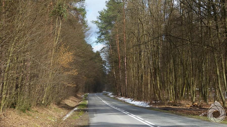 pół-suche lasy lubelskie