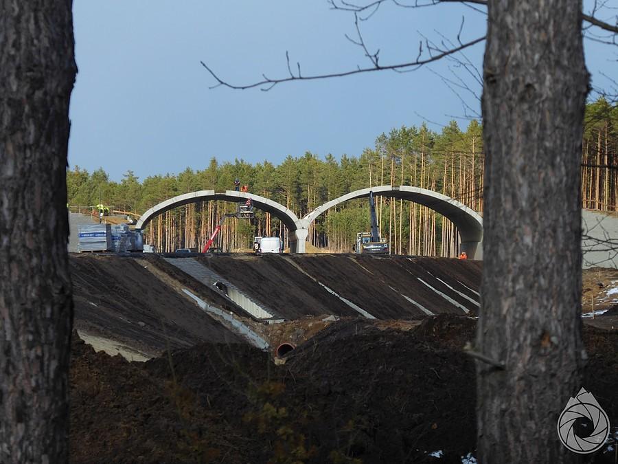 na S19 rośnie fajne przejście dla zwierząt
