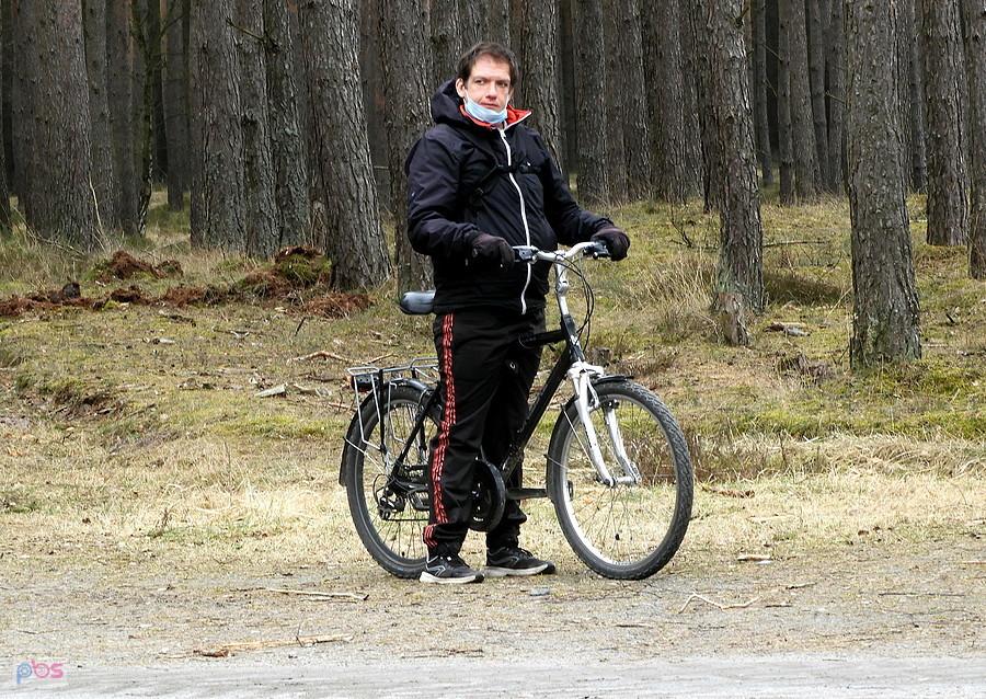 Kuba na drodze nr 27 w Puszczy Wkrzańskiej.