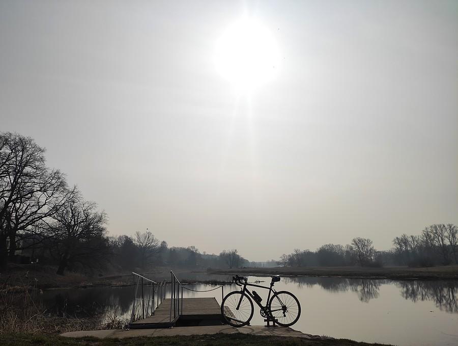 Nieśmiałe słońce nad portem, Radzewice