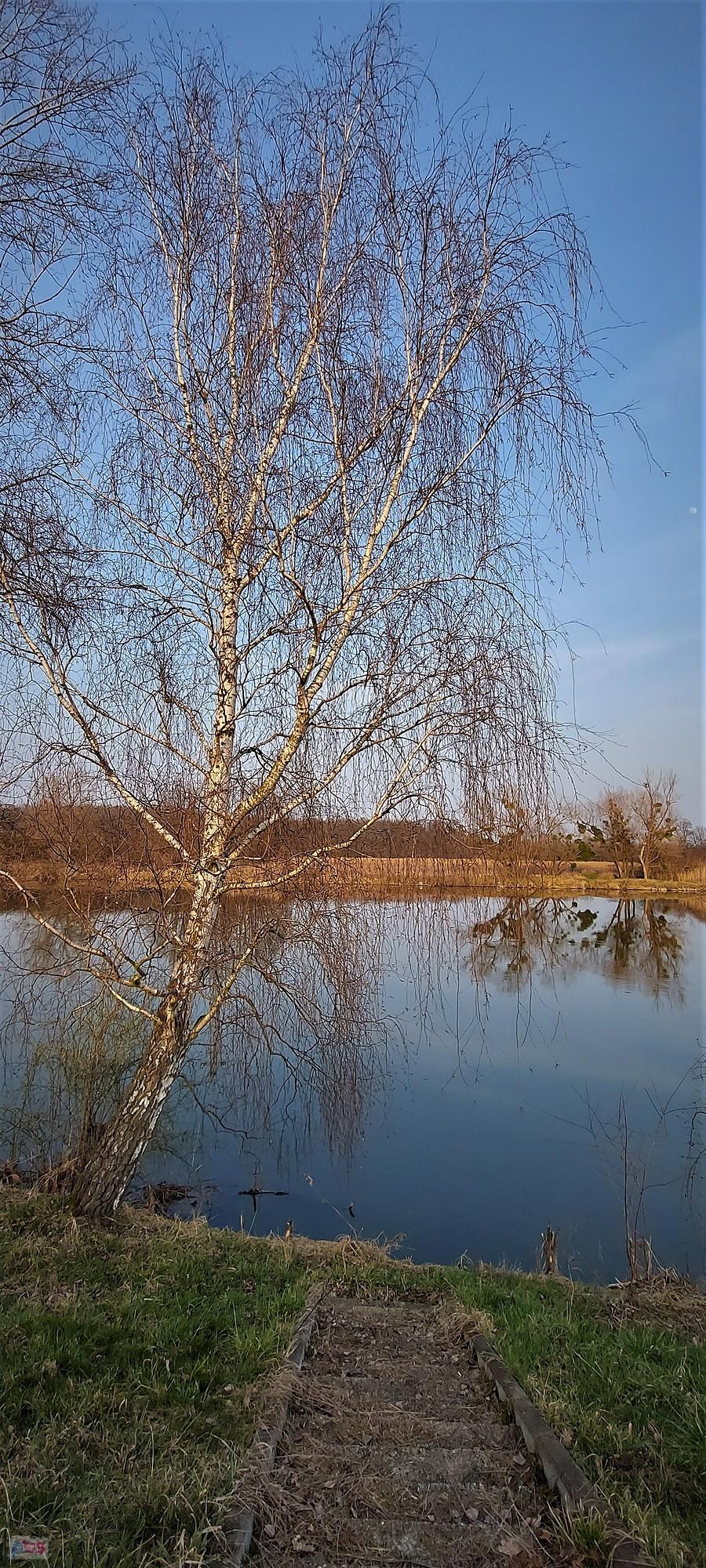 Nad Odrą w Trestnie