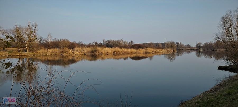Spokój nad marcową Odrą w Trestnie