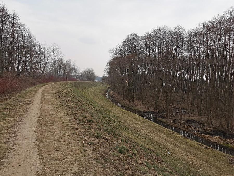 Wzdłuż Zalewu