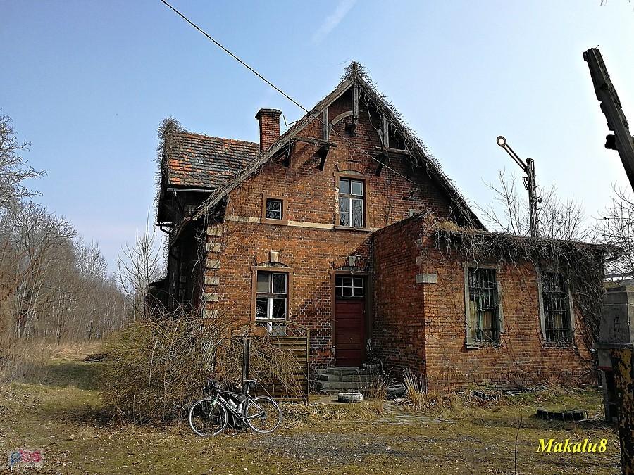 Nieborowice
