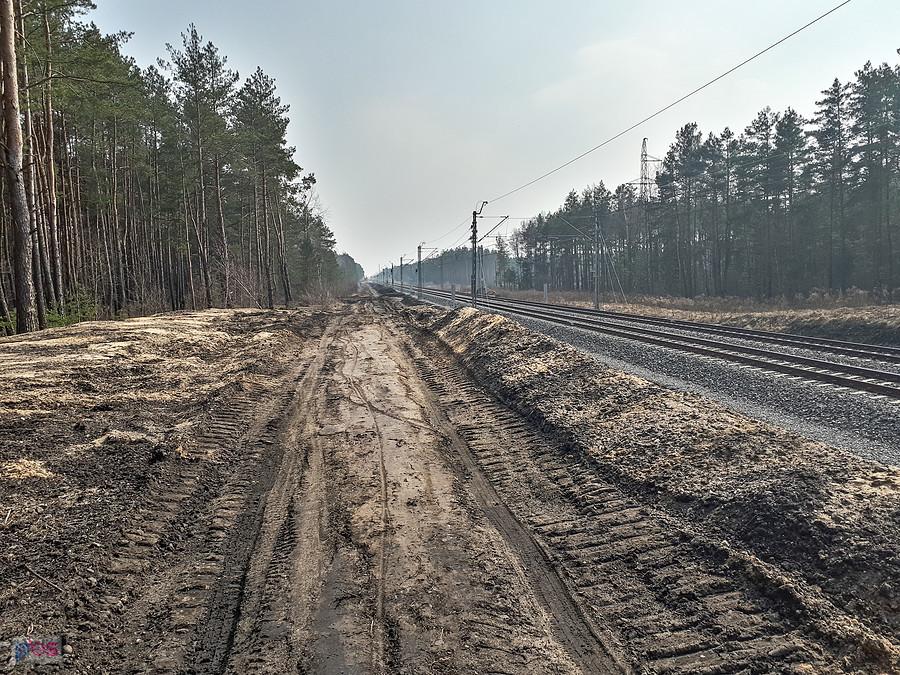 Droga wzdłuż torów "Wiedenki" z Żarek Letniska do Masłońskiego - efekt modernizacji linii - widok za plecami